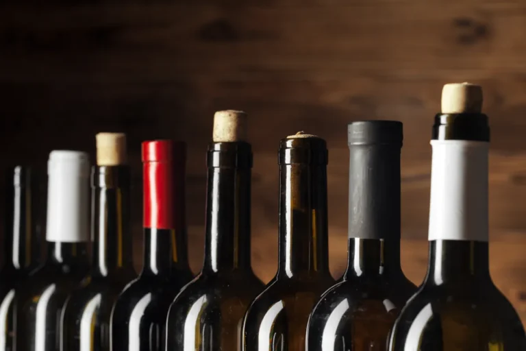 Sélection de bouteilles de vin à l’arrivée – Villa Theolina, Castres